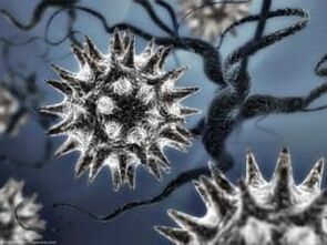 Parasitic virus model