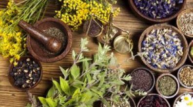 medicinal plants will help get rid of parasites